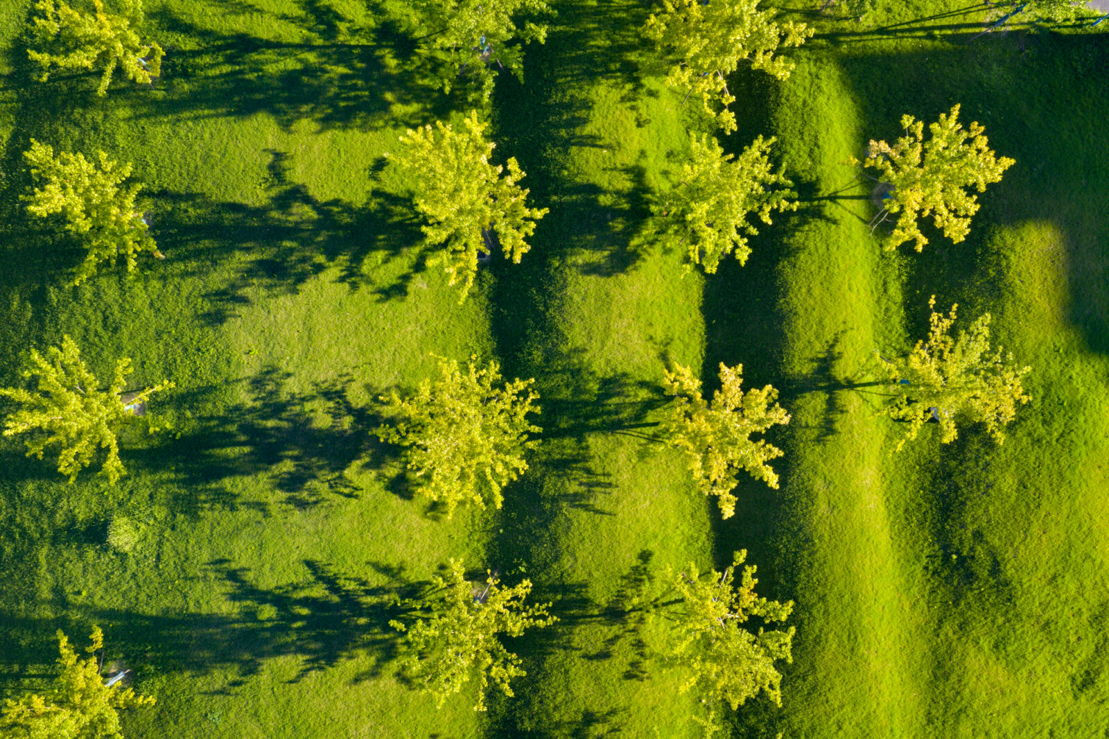 jyDJI_20250520050026_0283_D-编辑-©山间影像 Shan-jian images