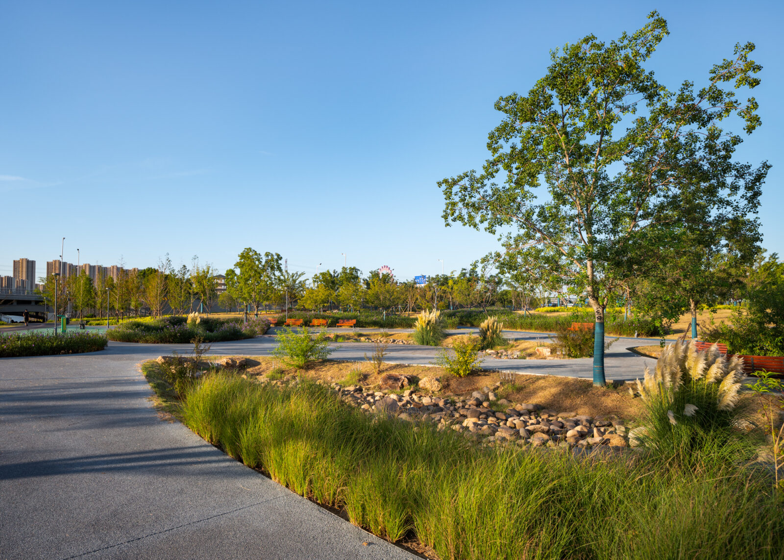 jy_SJ30288-编辑-©山间影像 Shan-jian images