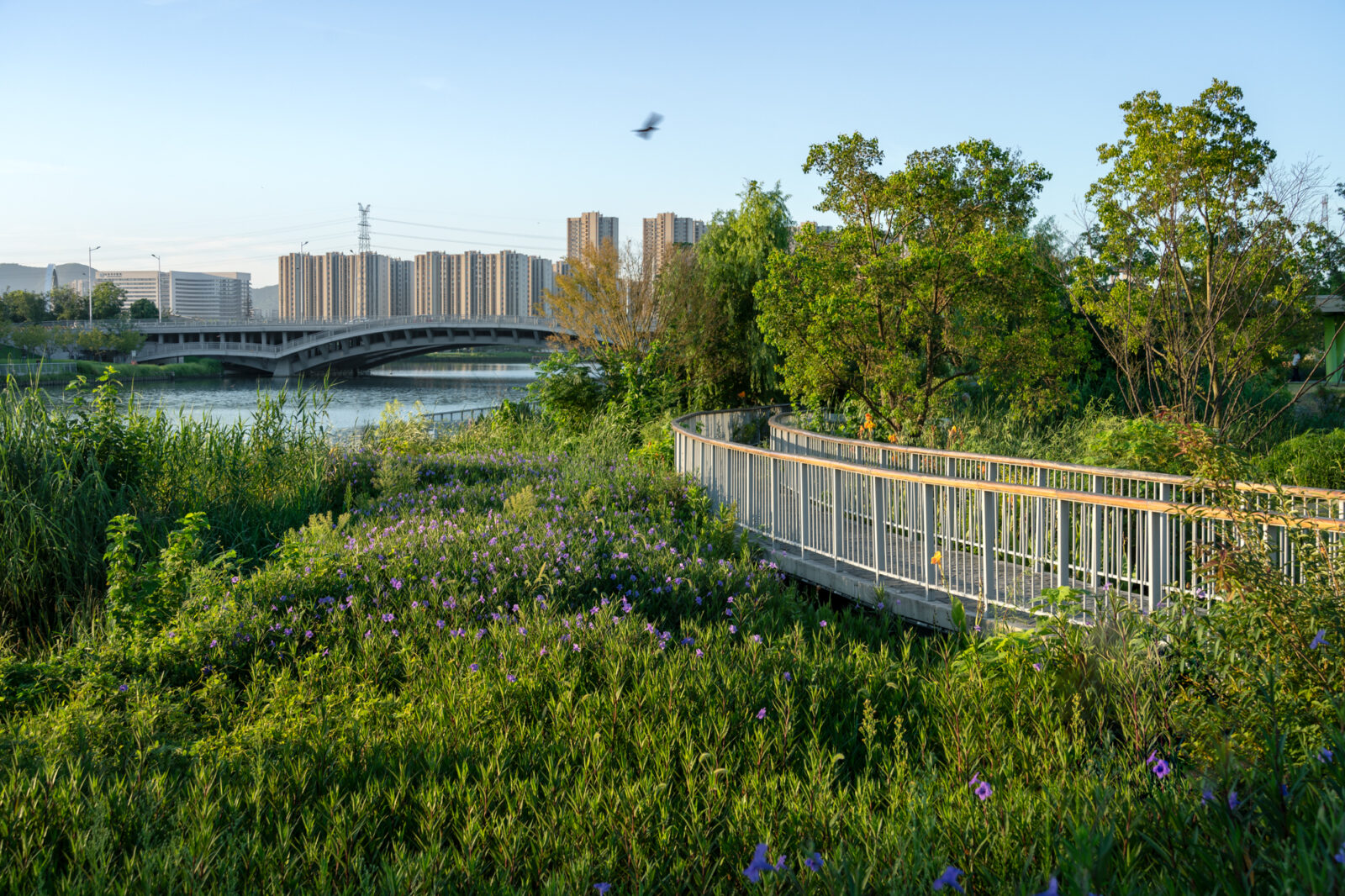 jy_SJ59292-编辑-©山间影像 Shan-jian images