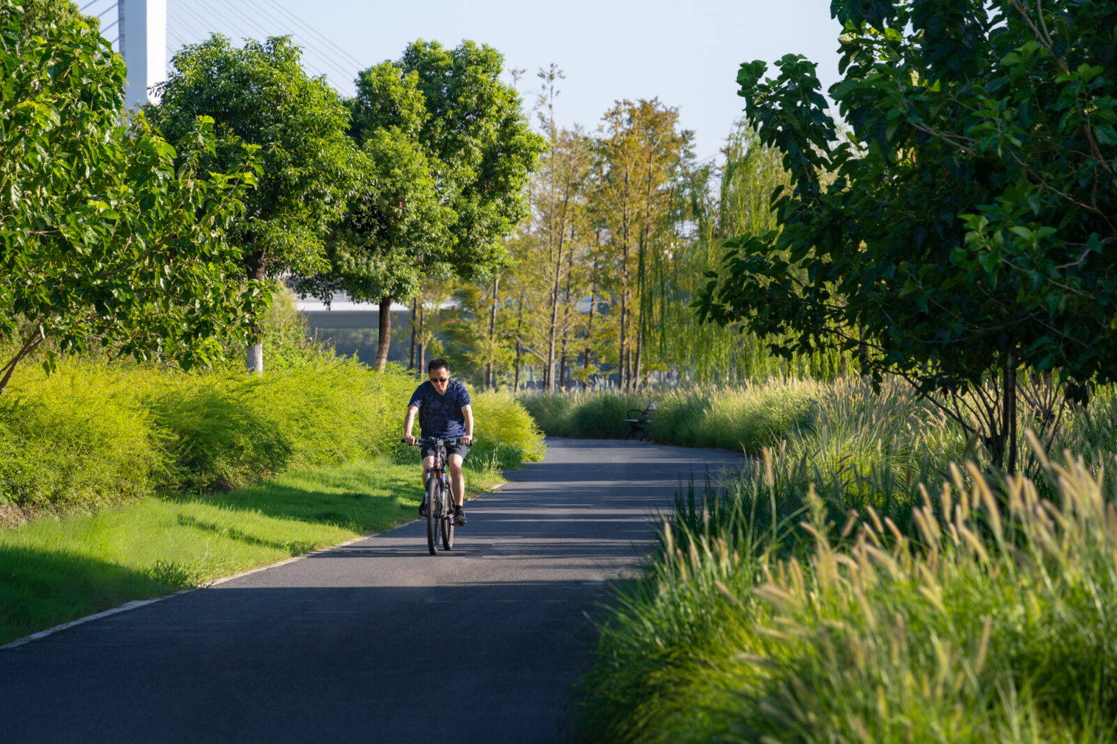 jy_SJ59630-编辑-©山间影像 Shan-jian images